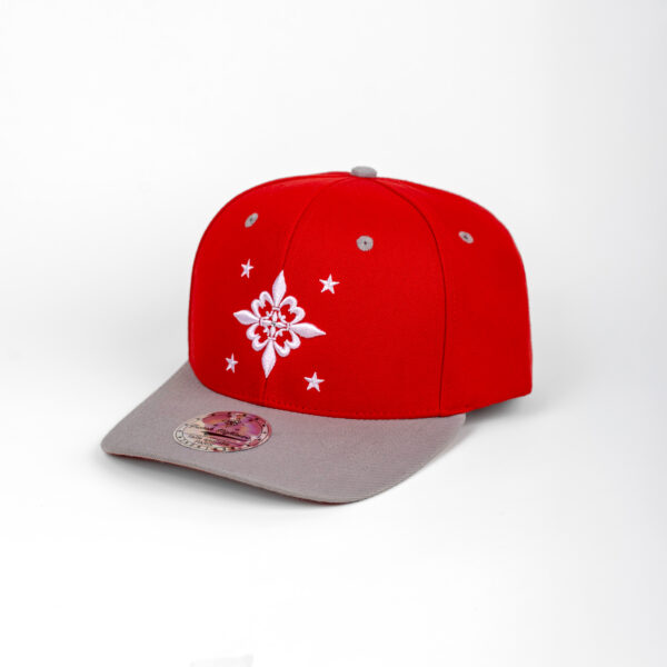 Royal Diamand 6 pan Profil haut baseball visière arrondie snapback rouge/gris