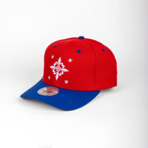 Royal Diamand 6 pans Profil haut rouge bleu visière arrondie snapback
