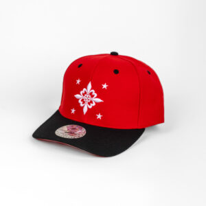 Royal Diamand 6 pan Profil haut baseball visière arrondie snapback rouge/noir