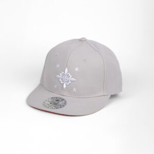 Édition 2013 6 pans Profil haut visière plate snapback gris