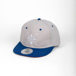 Édition 2013 6 pans Profil haut visière plate snapback gris/bleu